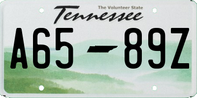 TN license plate A6589Z