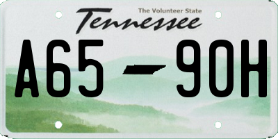 TN license plate A6590H