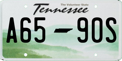 TN license plate A6590S