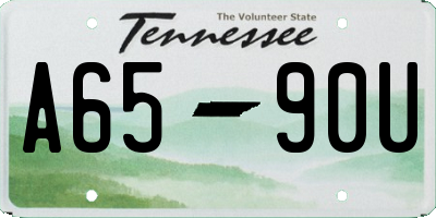 TN license plate A6590U