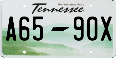 TN license plate A6590X