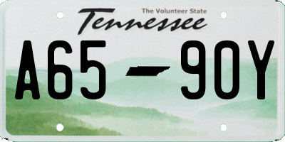 TN license plate A6590Y