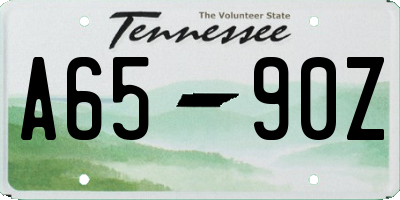 TN license plate A6590Z
