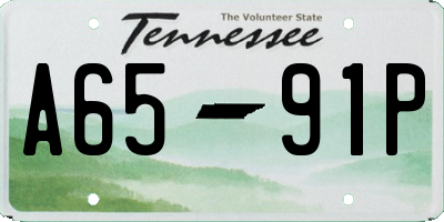 TN license plate A6591P