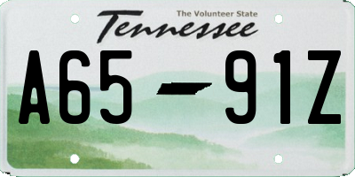 TN license plate A6591Z