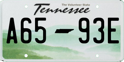 TN license plate A6593E
