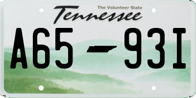 TN license plate A6593I