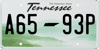 TN license plate A6593P