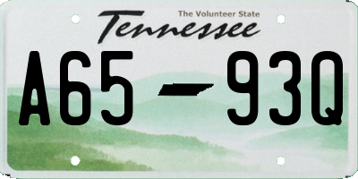 TN license plate A6593Q