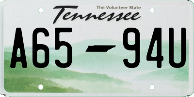 TN license plate A6594U