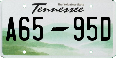 TN license plate A6595D