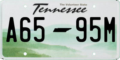 TN license plate A6595M