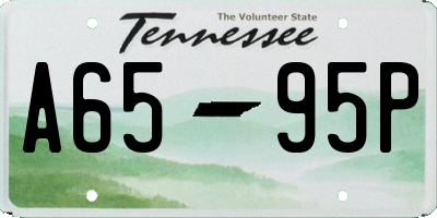TN license plate A6595P