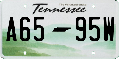 TN license plate A6595W