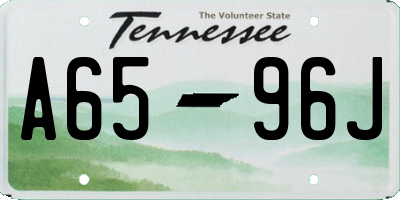 TN license plate A6596J