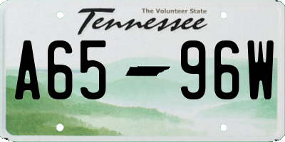 TN license plate A6596W