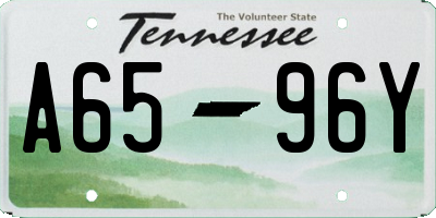 TN license plate A6596Y