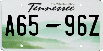TN license plate A6596Z
