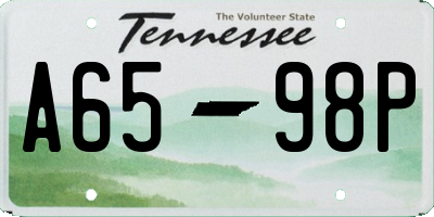TN license plate A6598P