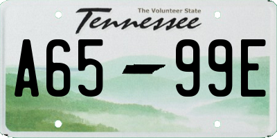TN license plate A6599E