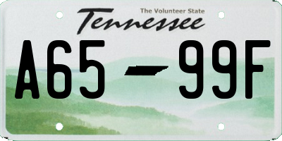 TN license plate A6599F
