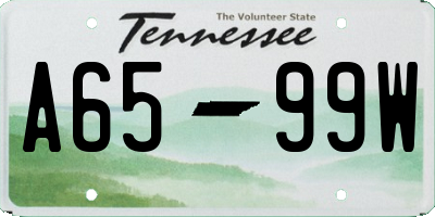 TN license plate A6599W