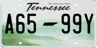 TN license plate A6599Y