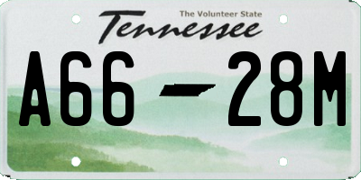 TN license plate A6628M