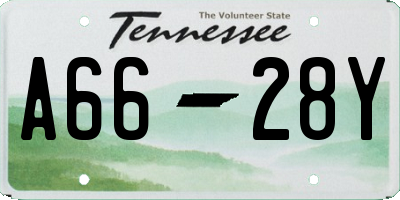 TN license plate A6628Y