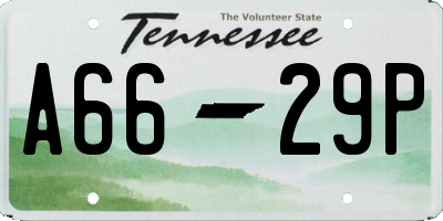 TN license plate A6629P