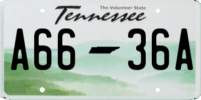 TN license plate A6636A