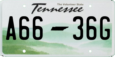 TN license plate A6636G