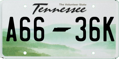 TN license plate A6636K