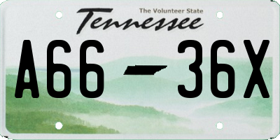TN license plate A6636X