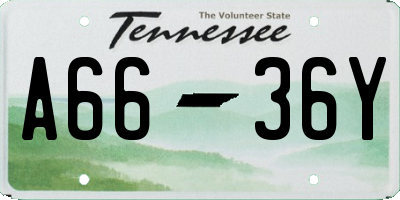 TN license plate A6636Y