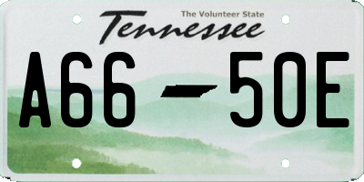 TN license plate A6650E