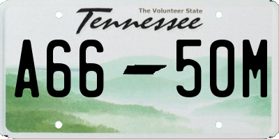 TN license plate A6650M