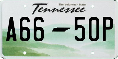 TN license plate A6650P