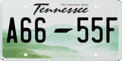 TN license plate A6655F