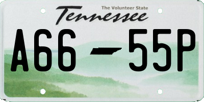 TN license plate A6655P
