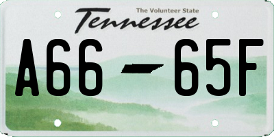 TN license plate A6665F