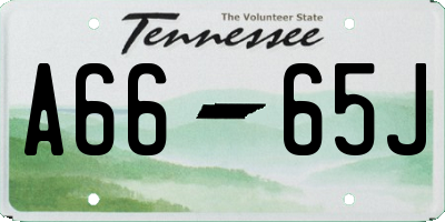 TN license plate A6665J
