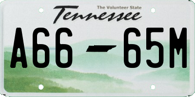 TN license plate A6665M