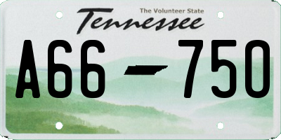 TN license plate A6675O