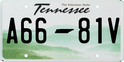 TN license plate A6681V