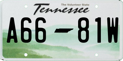 TN license plate A6681W