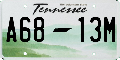 TN license plate A6813M