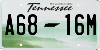 TN license plate A6816M