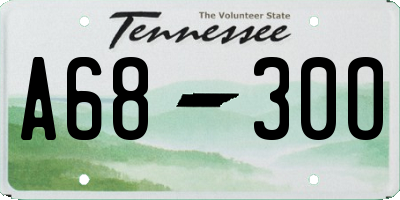 TN license plate A6830O