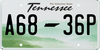 TN license plate A6836P